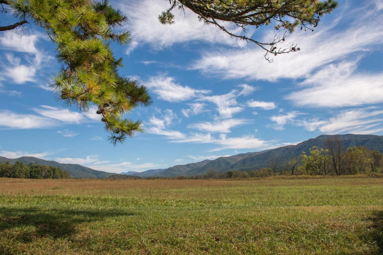 Peaceful Setting Cabin Villa Pigeon Forge Exteriör bild